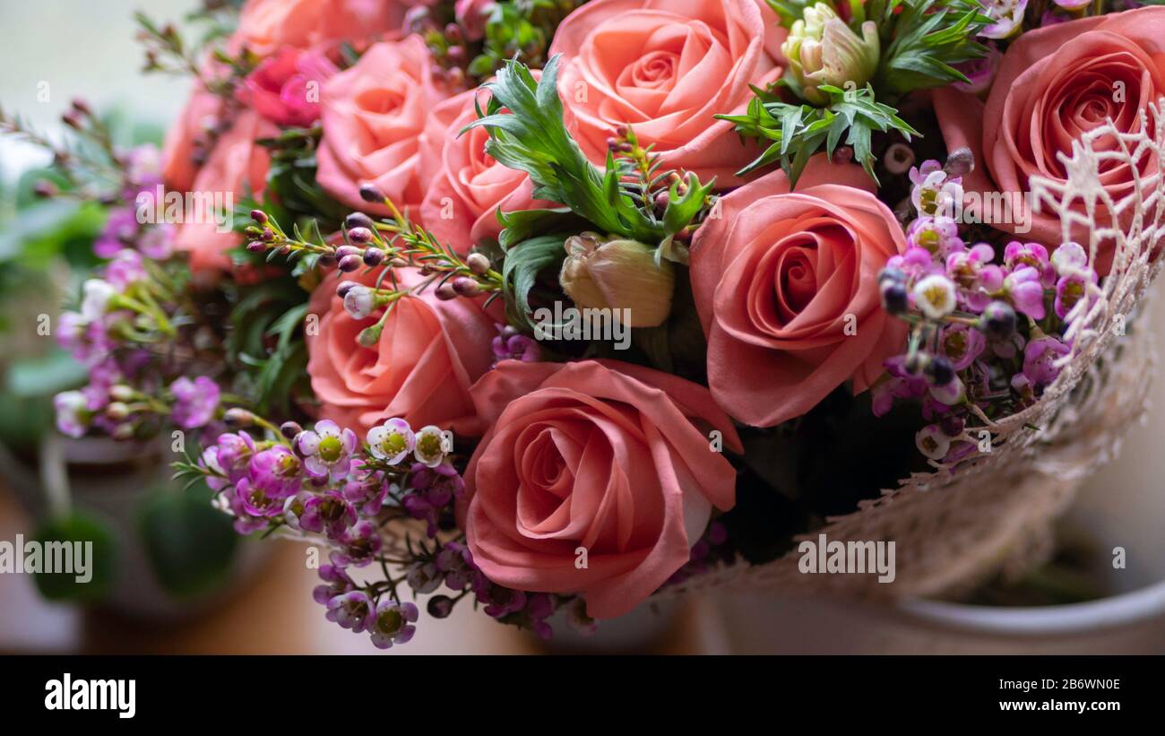 Beautiful cream color roses flowers bouquet, romantic relationship and