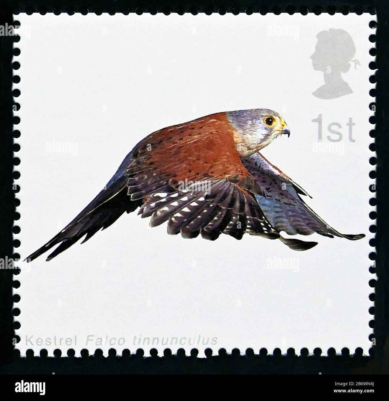 Postage stamp. Great Britain. Queen Elizabeth II. Birds of Prey