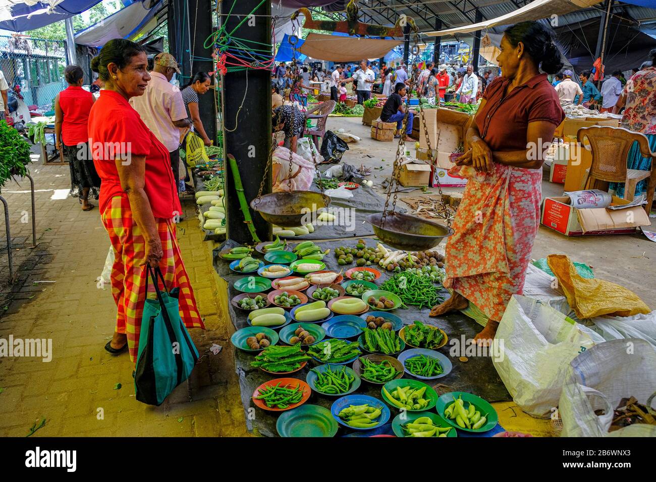 Polonnaruwa, Sri Lanka - February 2020: A woman selling vegetables in the Polonnaruwa market on February 11, 2020 in Polonnaruwa, Sri Lanka. Stock Photo