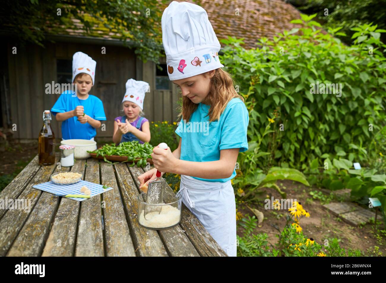 Children investigating food. Series: Making pesto, therefore grating cheese. Learning according to the Reggio Pedagogy principle, playful understanding and discovery. Germany. Stock Photo