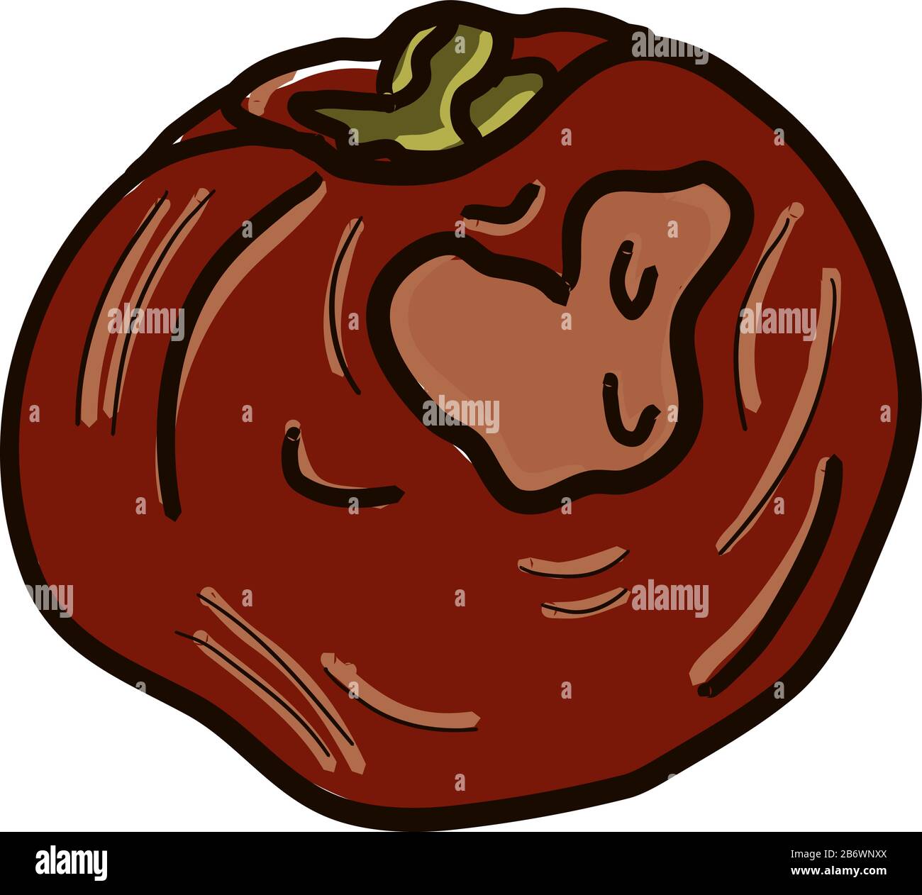 Rotten tomato, illustration, vector on white background. Stock Vector