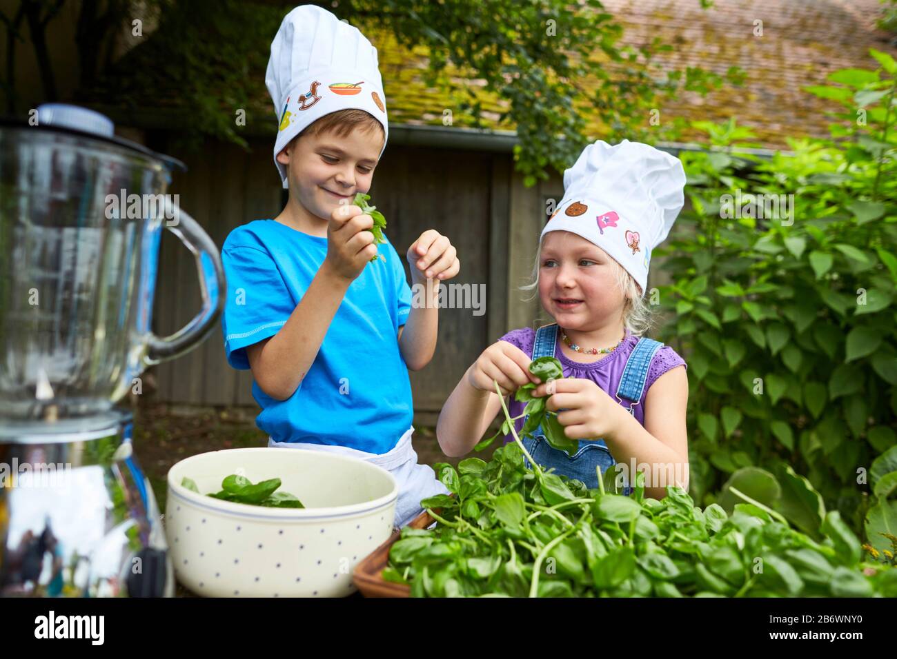 Children investigating food. Series Making pesto. Removing basil