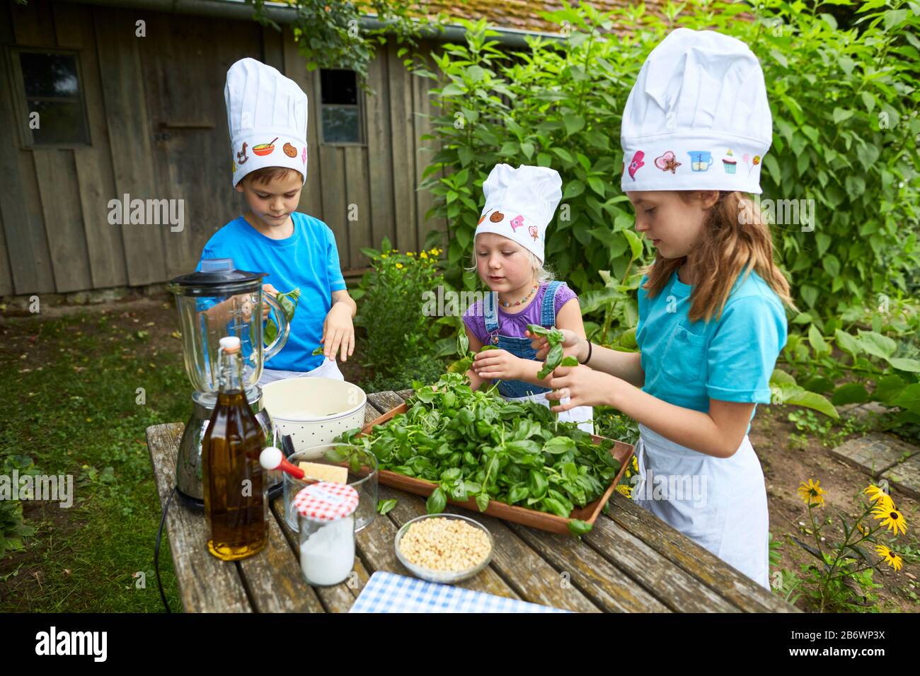 Children investigating food. Series: Making pesto. Learning according to the Reggio Pedagogy principle, playful understanding and discovery. Germany. Stock Photo
