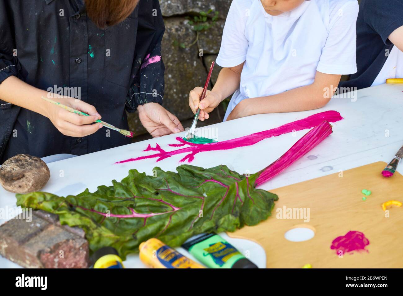 Children investigating food. Series: Painting vegetables, in this case Swiss chard. Learning according to the Reggio Pedagogy principle, playful understanding and discovery. Germany. Stock Photo