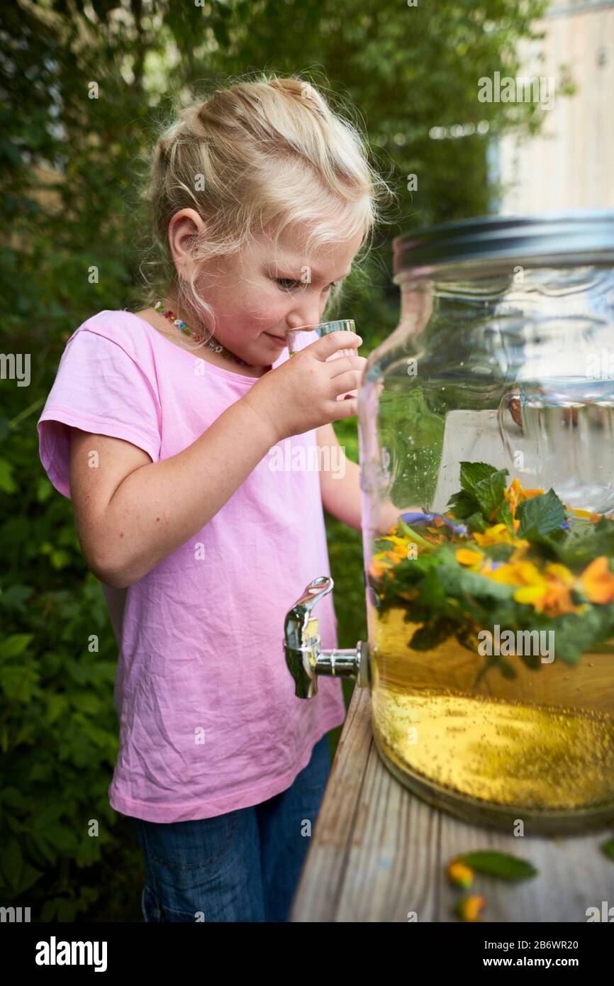 Children investigating food. Series: Preparation of a herbal drink. Tasting the finished drink. Learning according to the Reggio Pedagogy principle, playful understanding and discovery. Germany. Stock Photo