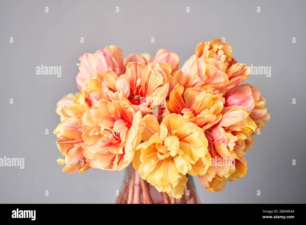 Beautiful orange and with red streaks tulips in vase. Flower background