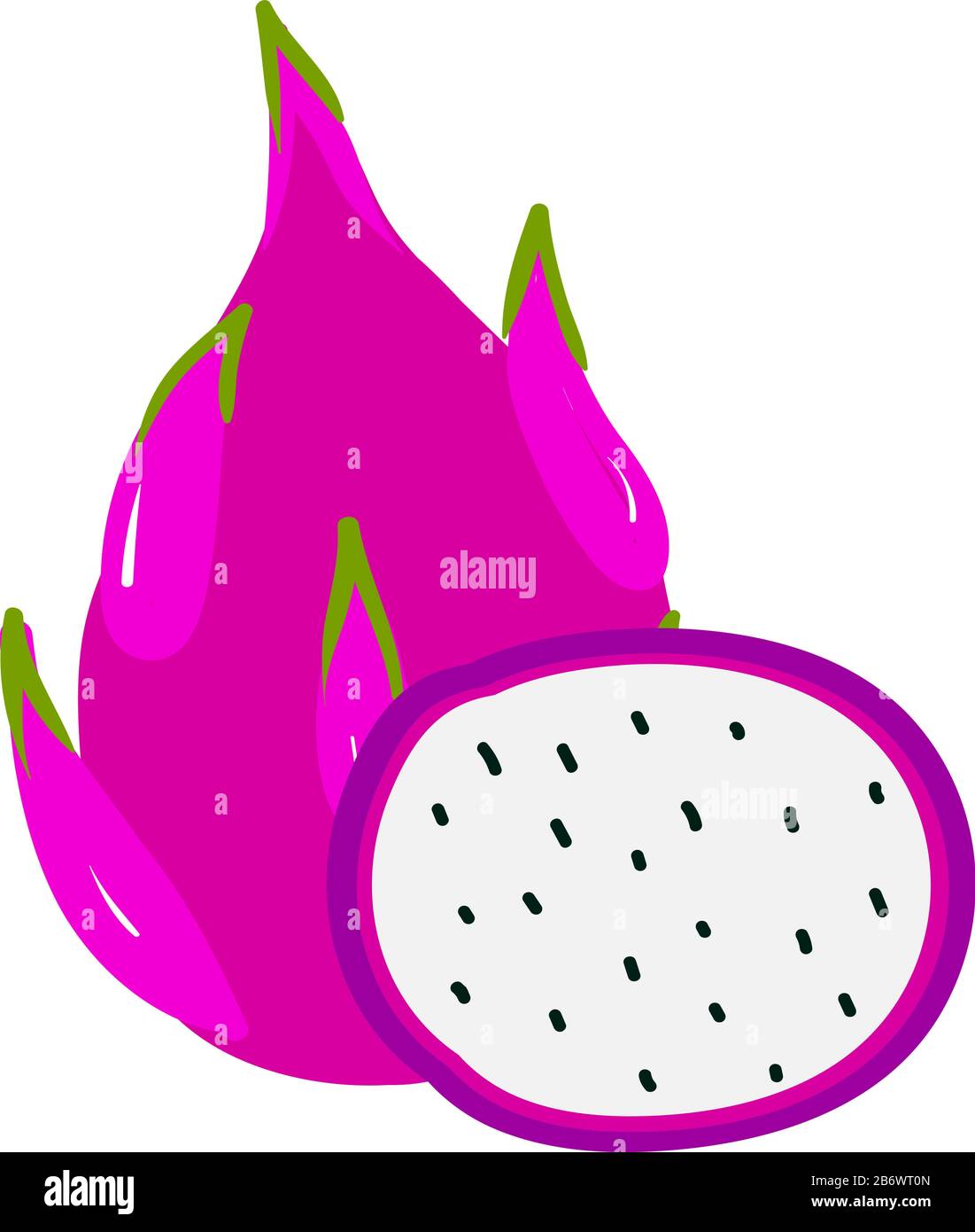 Dragon fruit in half, illustration, vector on white background. Stock Vector