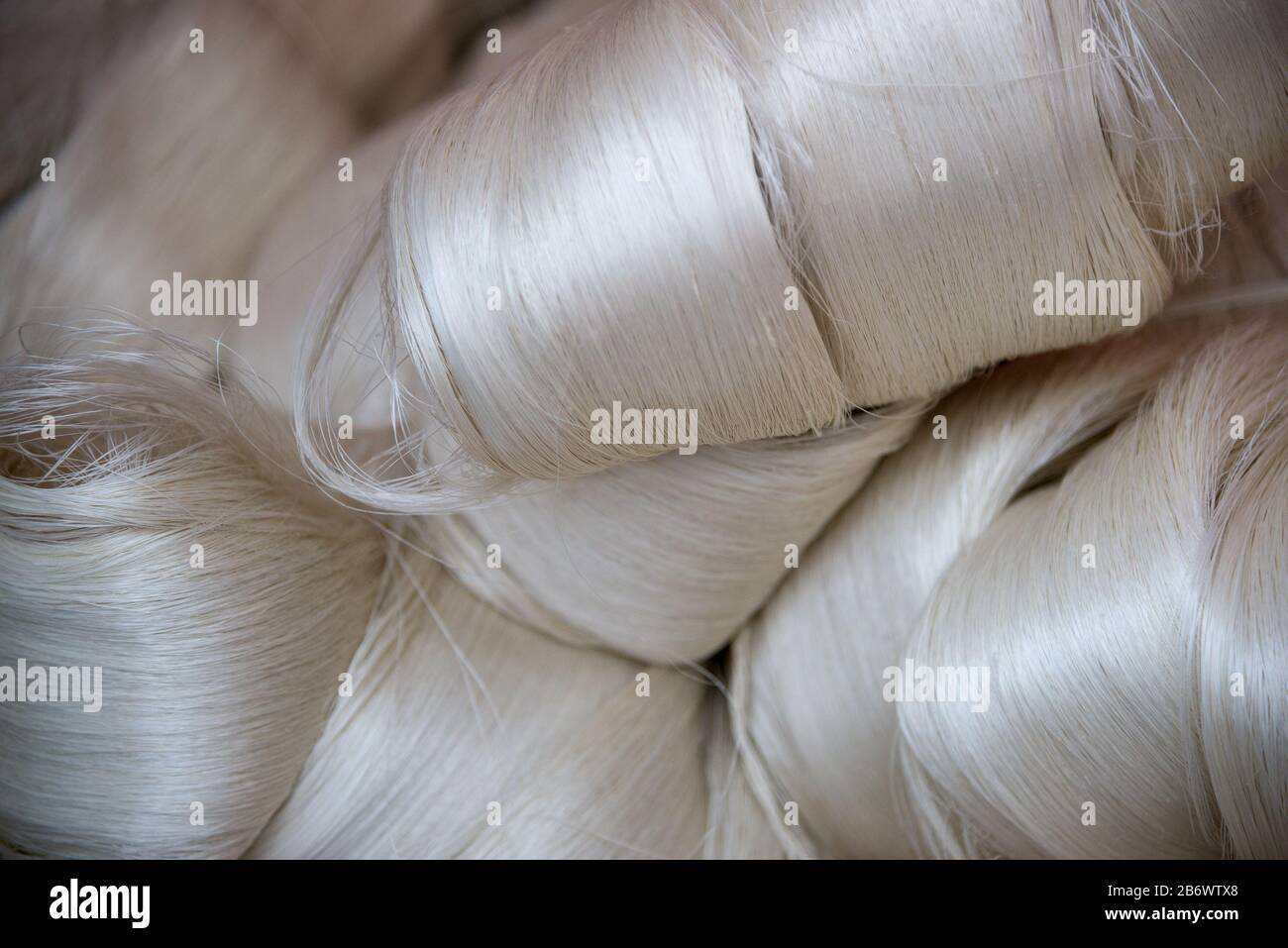 White silk fibres close-up. Illustration about silk production technology. Stock Photo