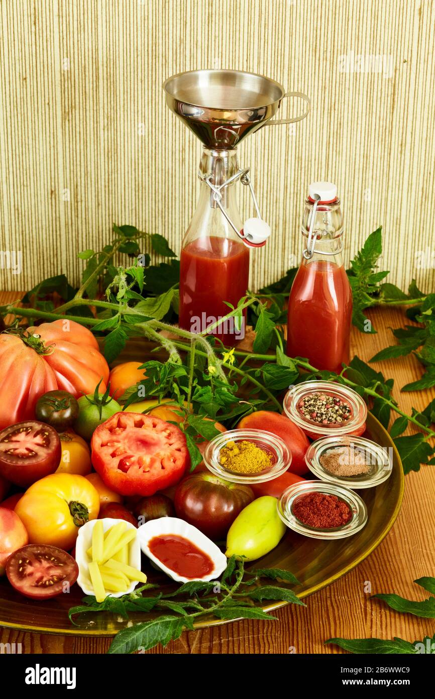 Children investigating food. Series: Making ketchup yourself ...