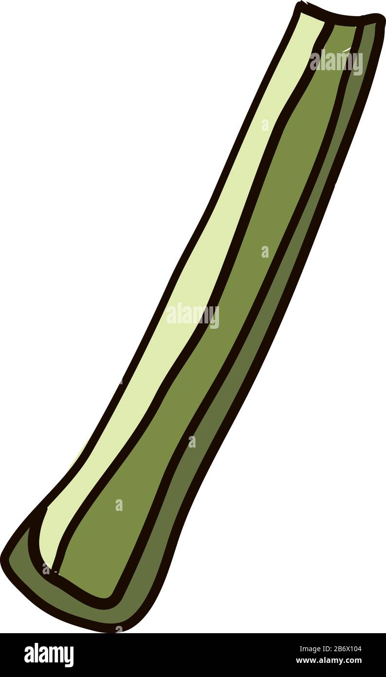 Celery flat, illustration, vector on white background. Stock Vector