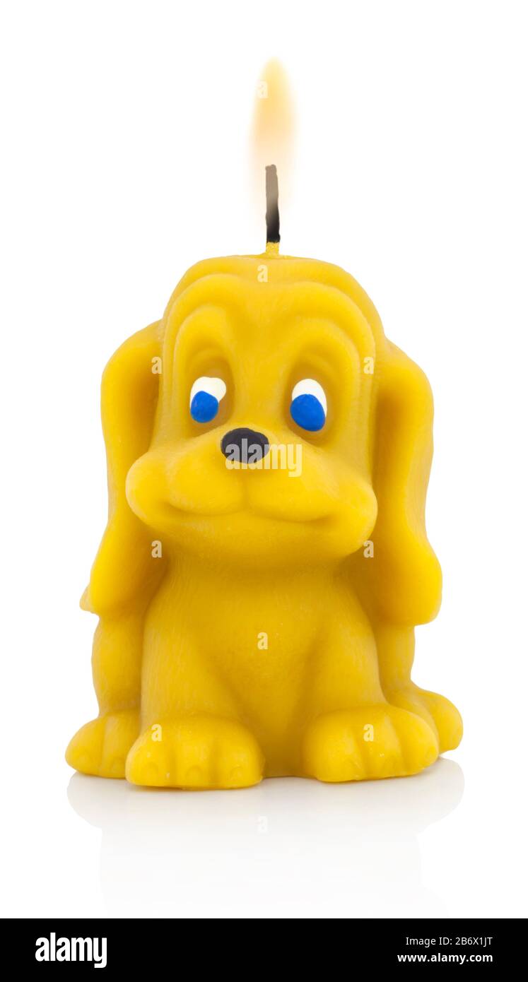 Dogshaped honey candle with burning wick. Cute candle in the doggie
