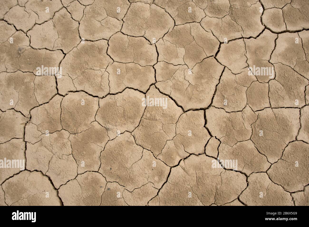 Chapped ground background.  No water - no life. Story about agriculture and people problem. Stock Photo
