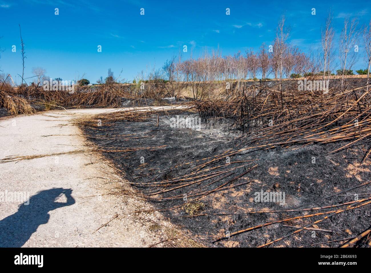 Woman shadow taking photos to burnt zone Stock Photo
