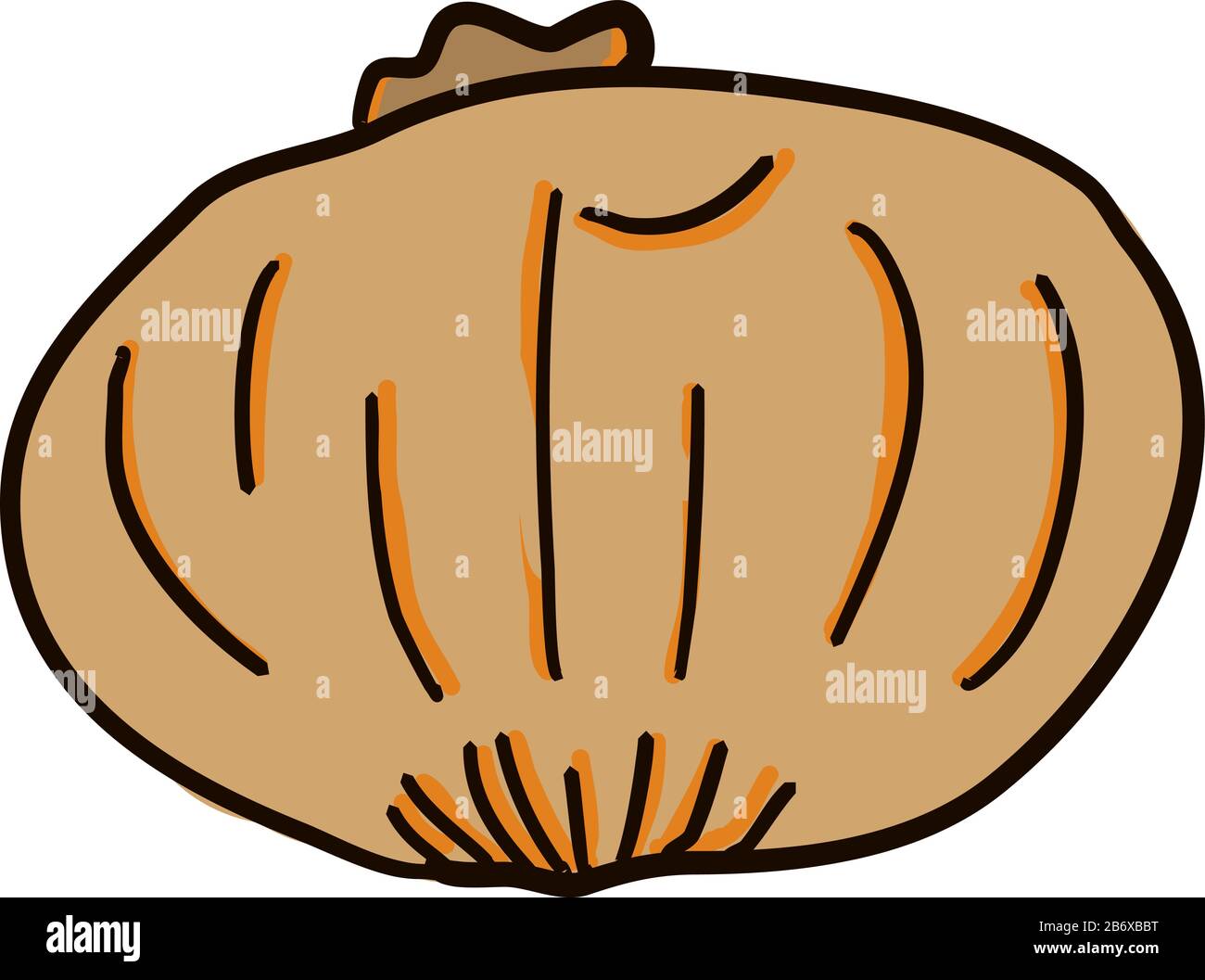 Onion drawing, illustration, vector on white background. Stock Vector