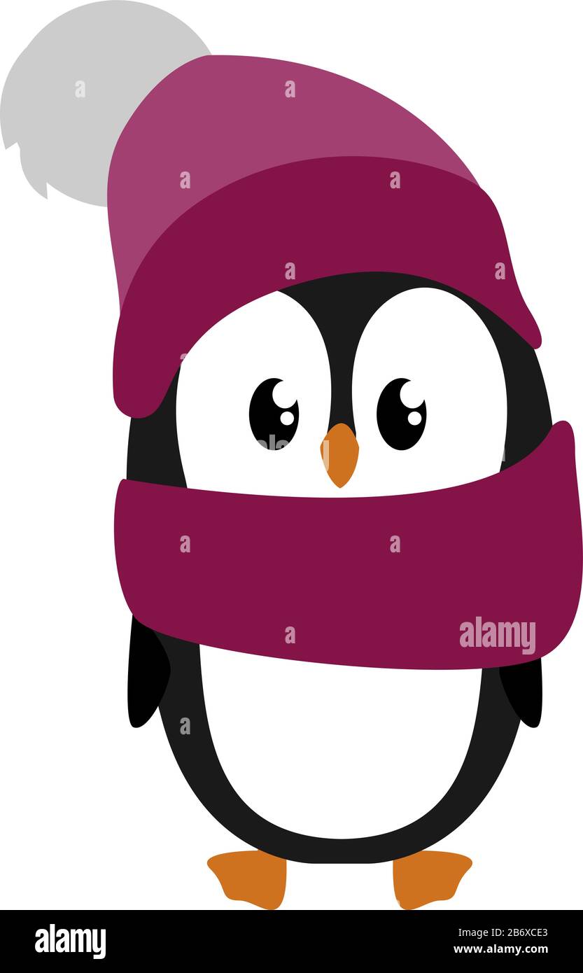 Penguin with purple scarf, illustration, vector on white background