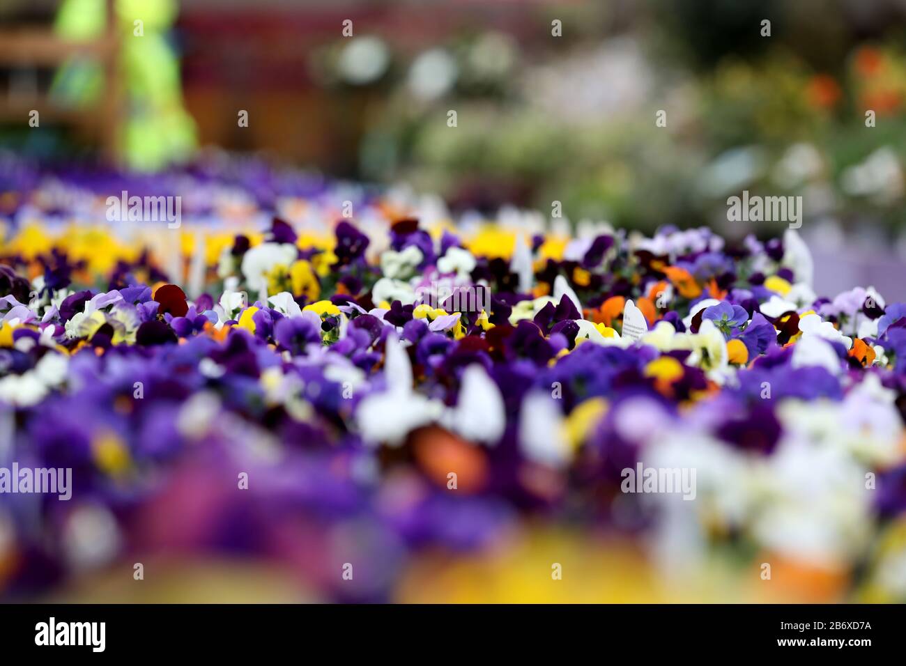 The kiln garden centre hires stock photography and images Alamy