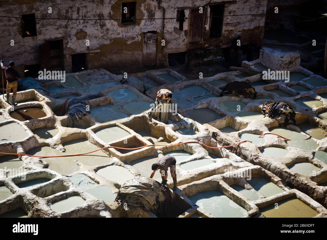 Workers wash and bleach leathers in the Tanners Quarter of Fes, Morocco Stock Photo