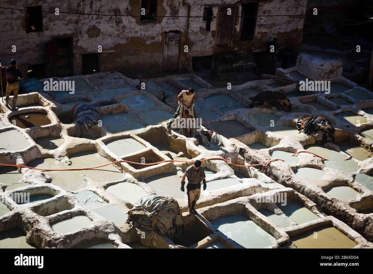 Workers wash and bleach leathers in the Tanners Quarter of Fes, Morocco Stock Photo