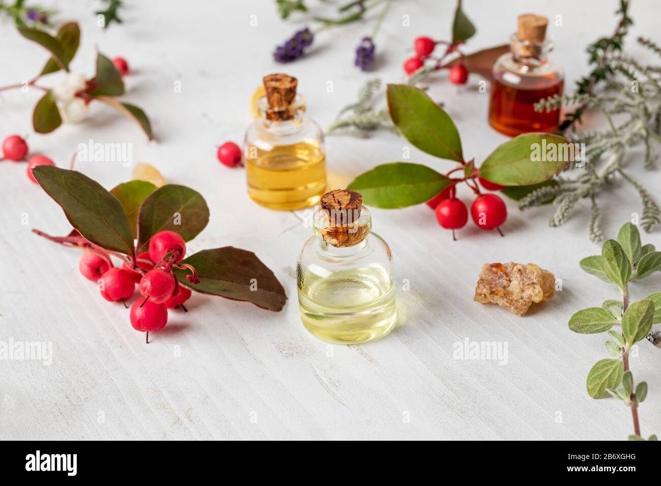 Bottles of essential oil with frankincense, wintergreen, santolina and other herbs on white background Stock Photo