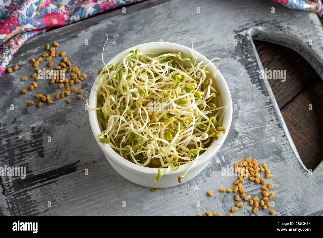Fresh fenugreek sprouts in a white bowl Stock Photo
