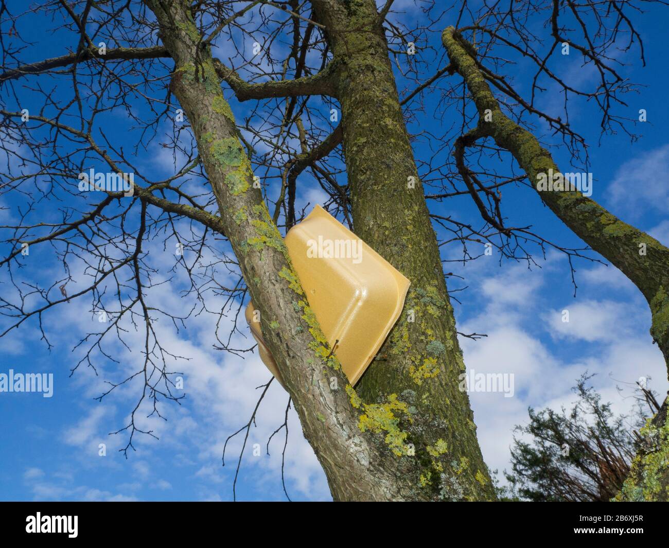Dumping waste in trees Stock Photo Alamy