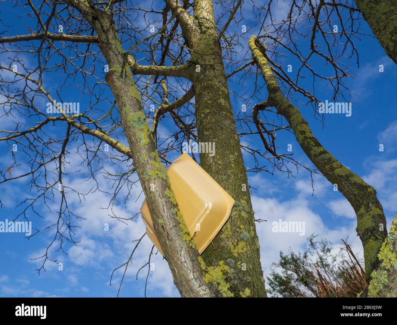 Dumping waste in trees Stock Photo Alamy