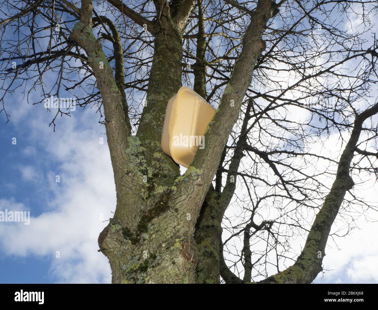 Dumping waste in trees Stock Photo Alamy