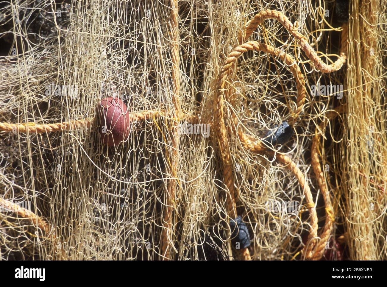 Orange fishing net with red and black floats, hanging on the sea front