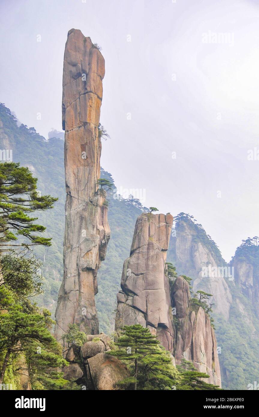 Jiangxi, Jiangxi, China. 12th Mar, 2020. Jiangxi, CHINA-Sanqing mountain is  located at the junction of yushan county and dexing city, shangrao city, Jiangxi  province, China.Because yu jing, yu xu, yu hua three