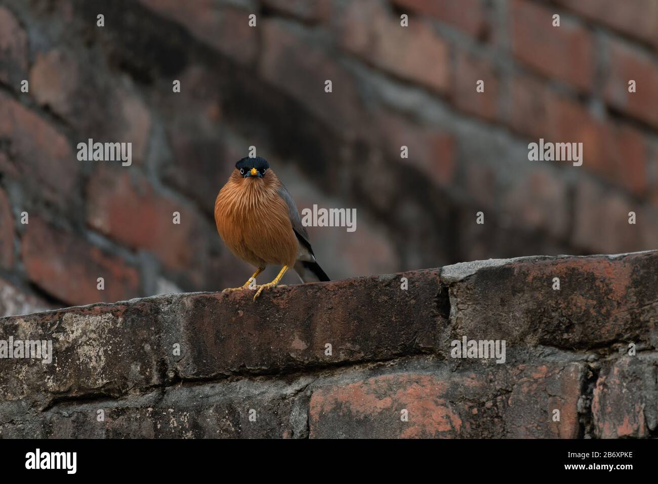 Near ponds hires stock photography and images Alamy