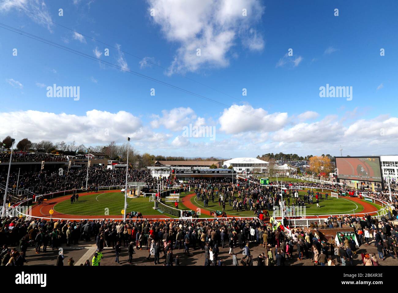 Horses in the parade ring ahead of the Marsh Novices' Chase during day three of the Cheltenham Festival at Cheltenham Racecourse. Stock Photo