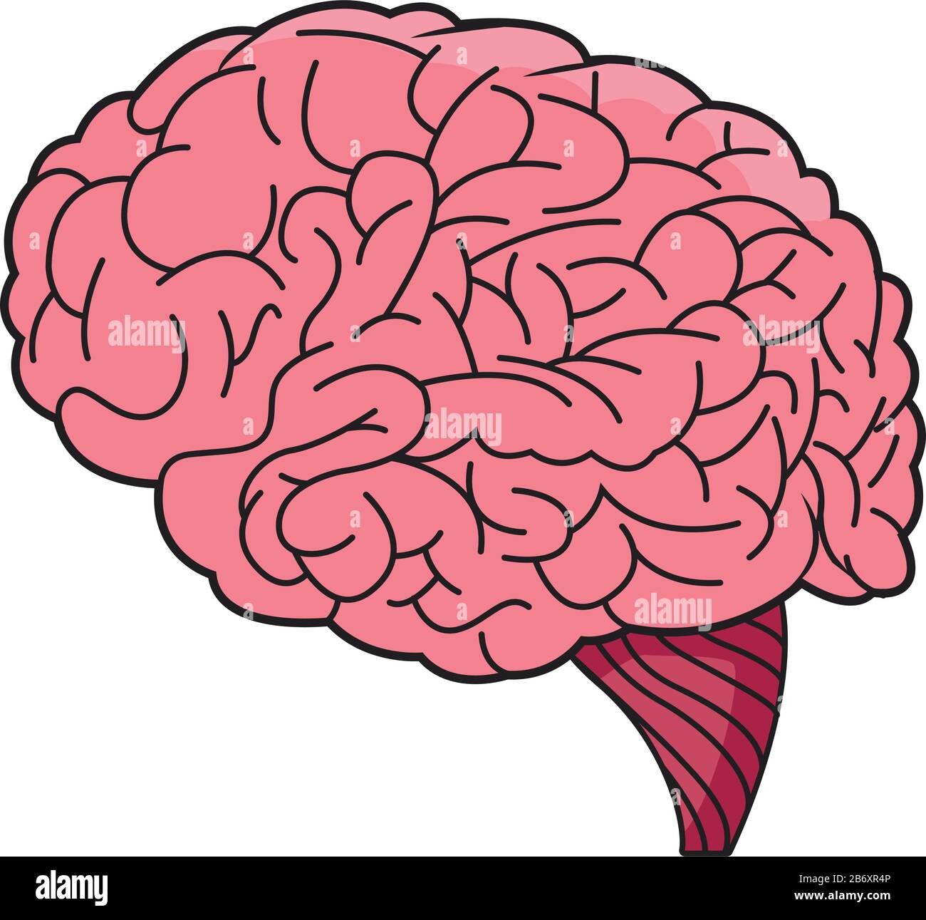 brain organ human isolated icon Stock Vector Image & Art - Alamy