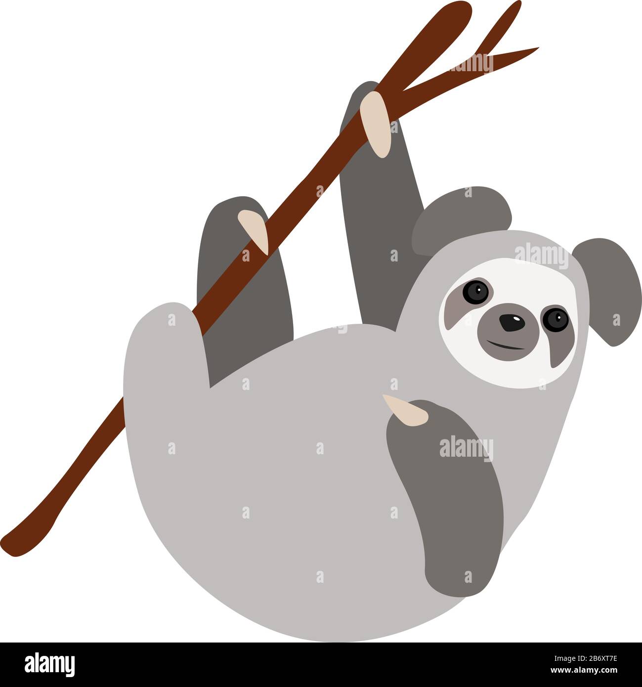 Koala on tree, illustration, vector on white background. Stock Vector
