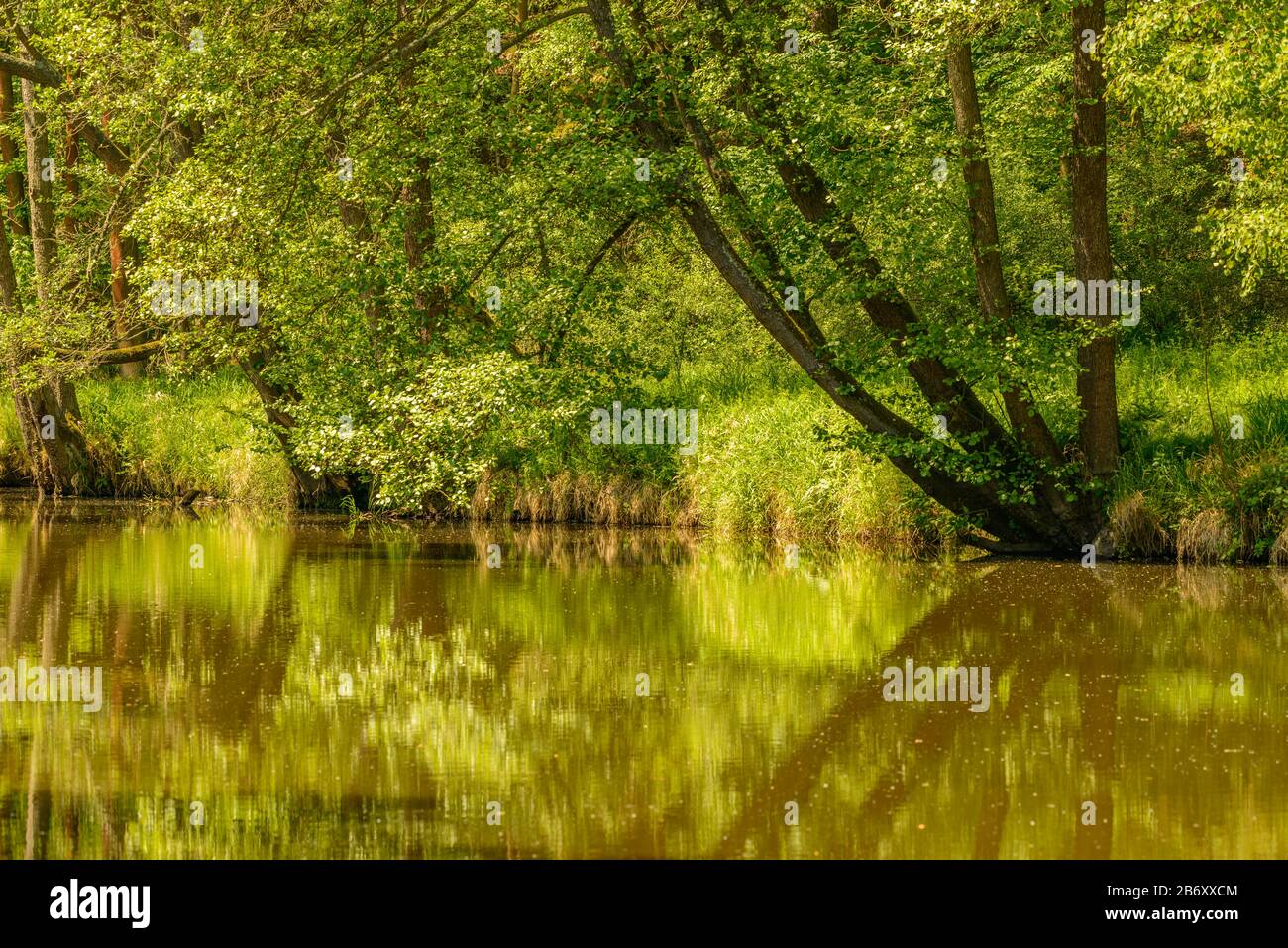 Green river surface hires stock photography and images Alamy