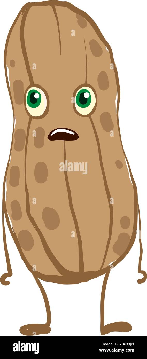 Surprised peanut, illustration, vector on white background. Stock Vector