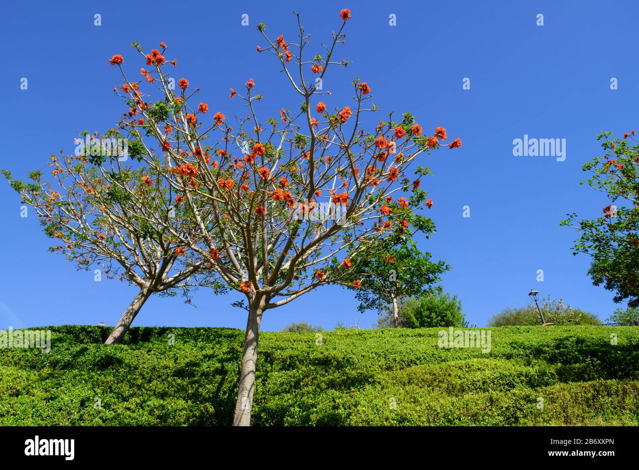 Ermita de Nuestra Senora de los Remidios church and gardens, Velez
