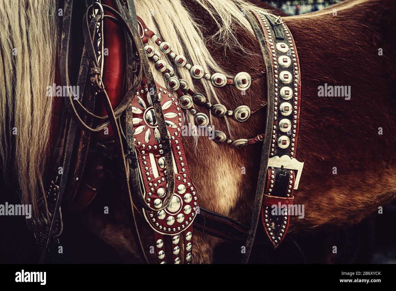 Horse with ornate harness hi-res stock photography and images - Alamy