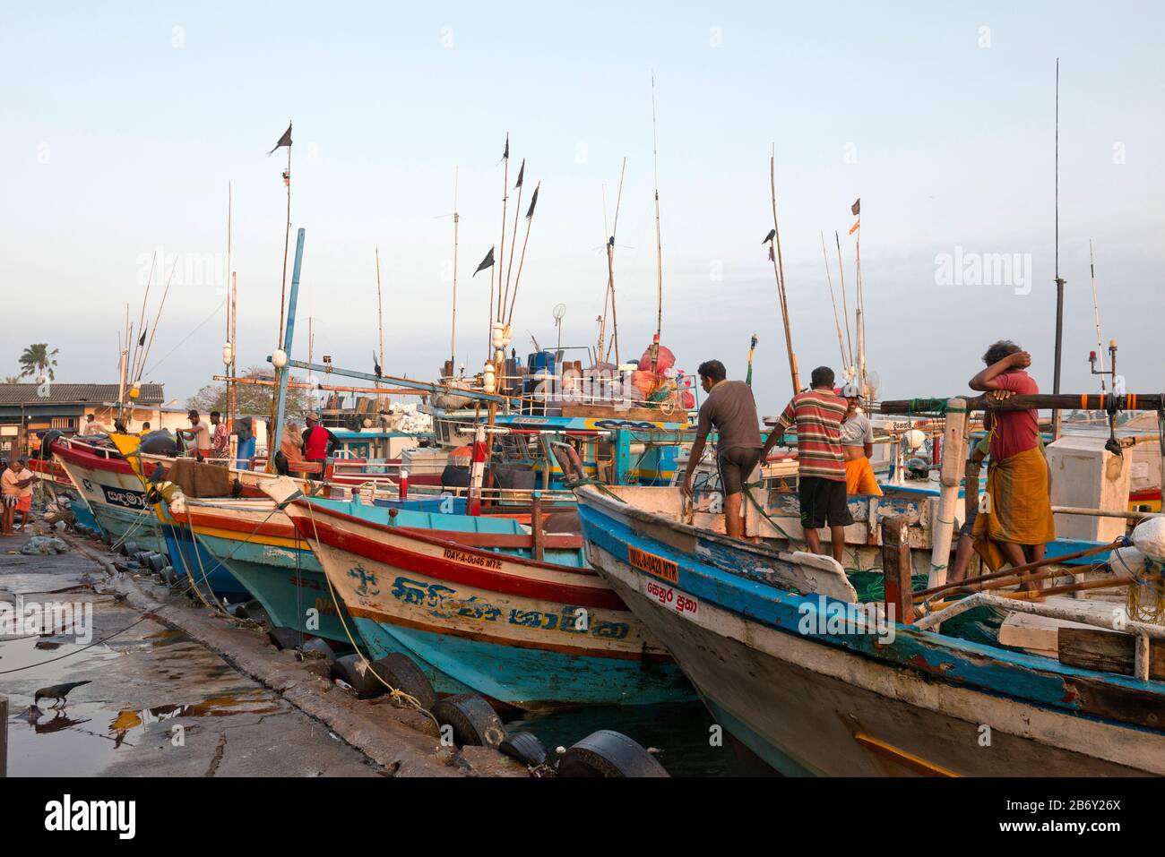 Sri Lanka, Negombo, ville, Stadt, city, marché, Markt, market, bateau de pêche Fischerboot, fischer boat Stock Photo