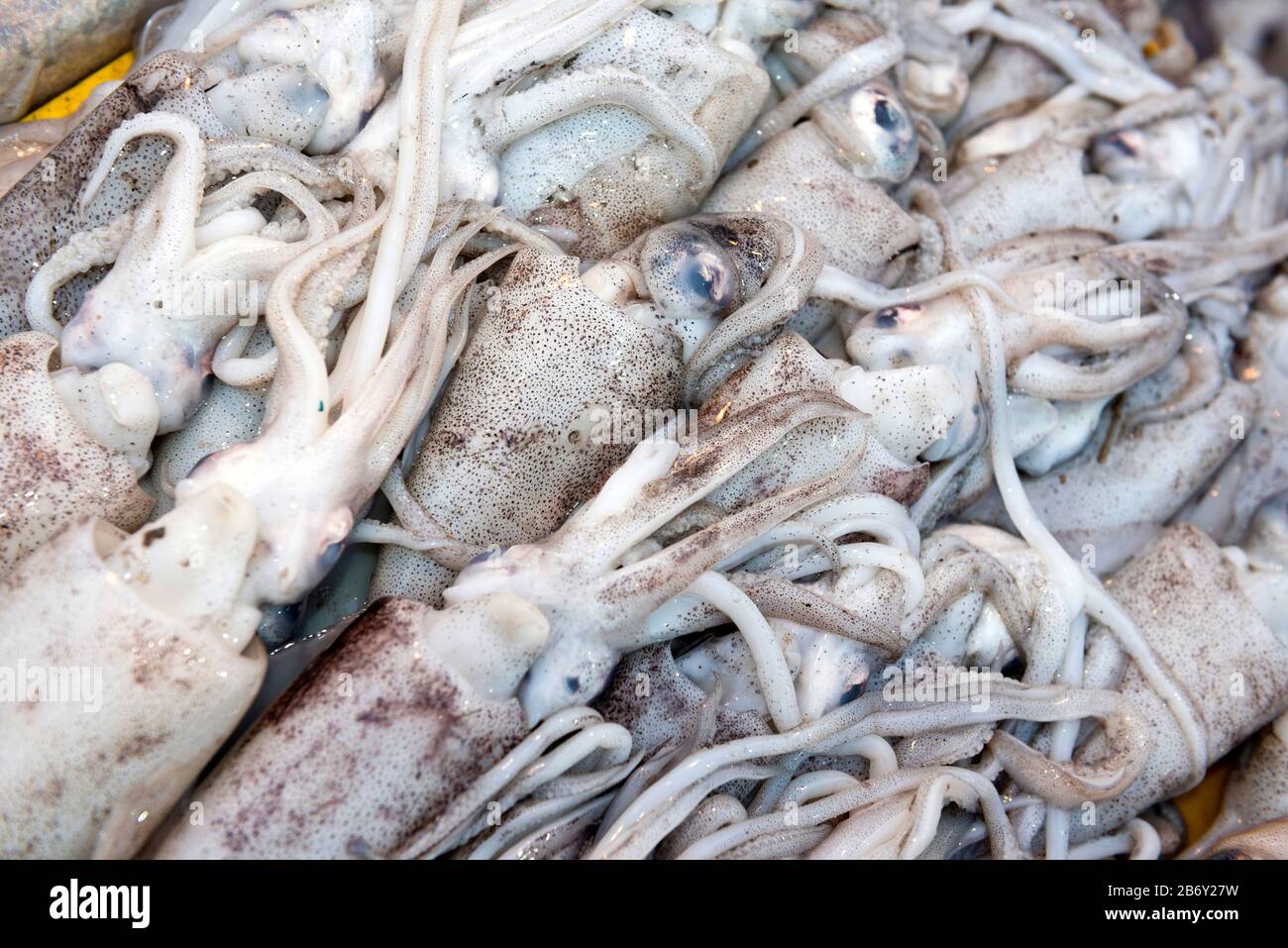 Tintenfisch Markt High Resolution Stock Photography And Images Alamy
