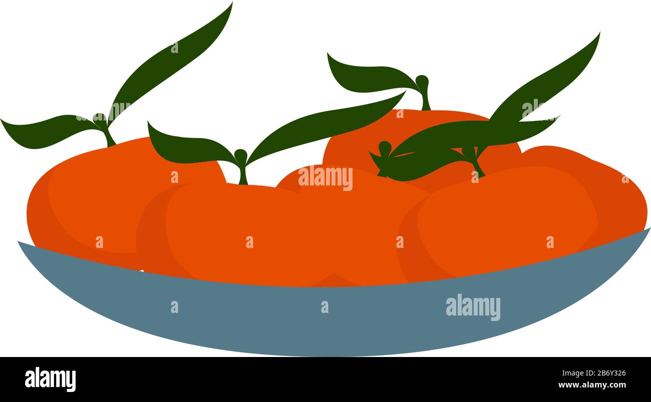 Fresh tangerines, illustration, vector on white background. Stock Vector