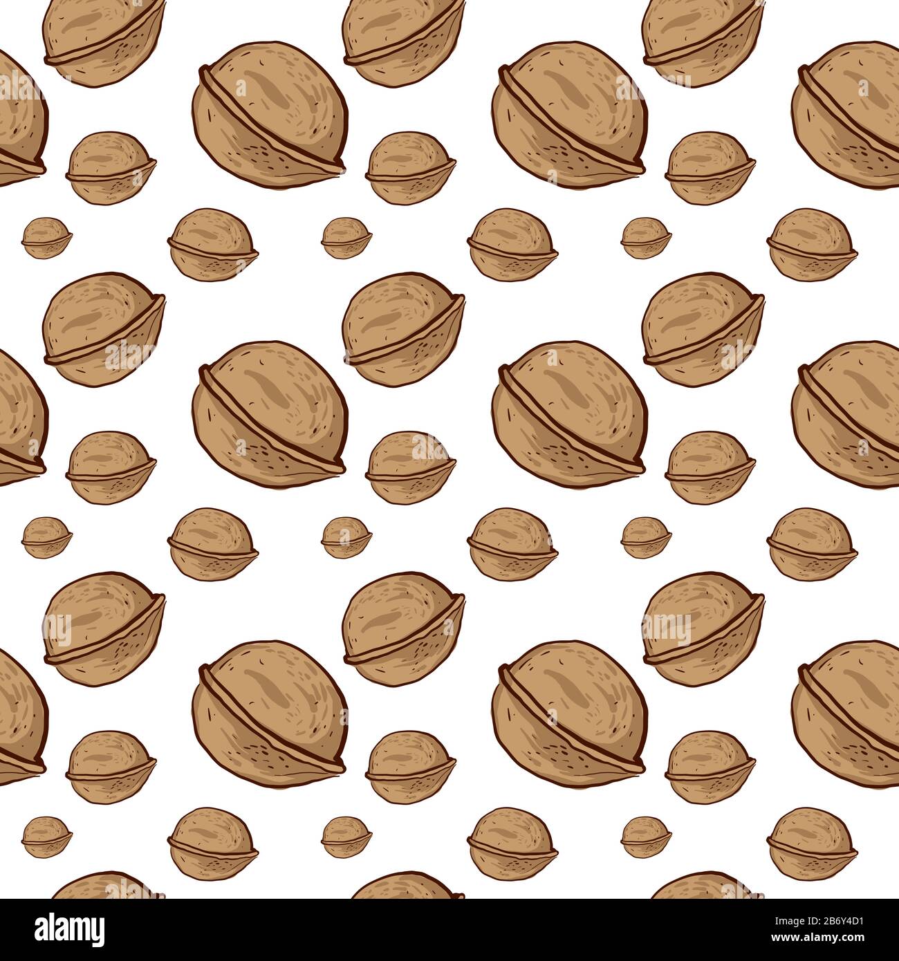 Walnut pattern, illustration, vector on white background. Stock Vector