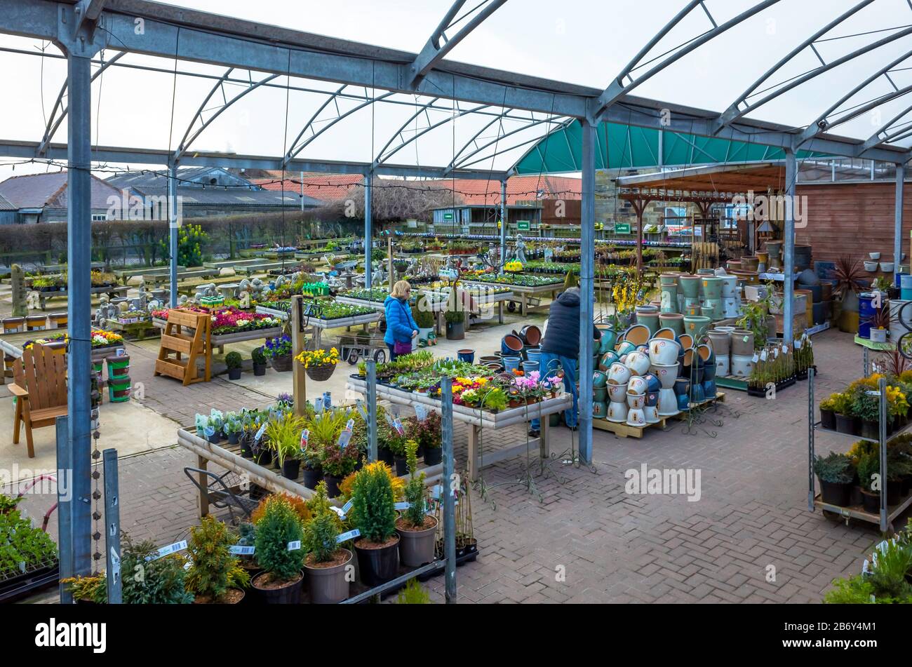 Plants General High Resolution Stock Photography and Images - Alamy