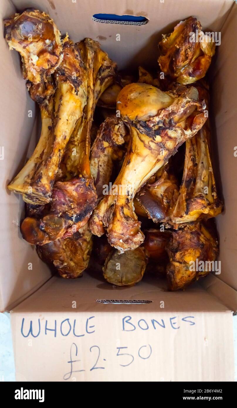 Dog bones hi res stock photography and images Alamy