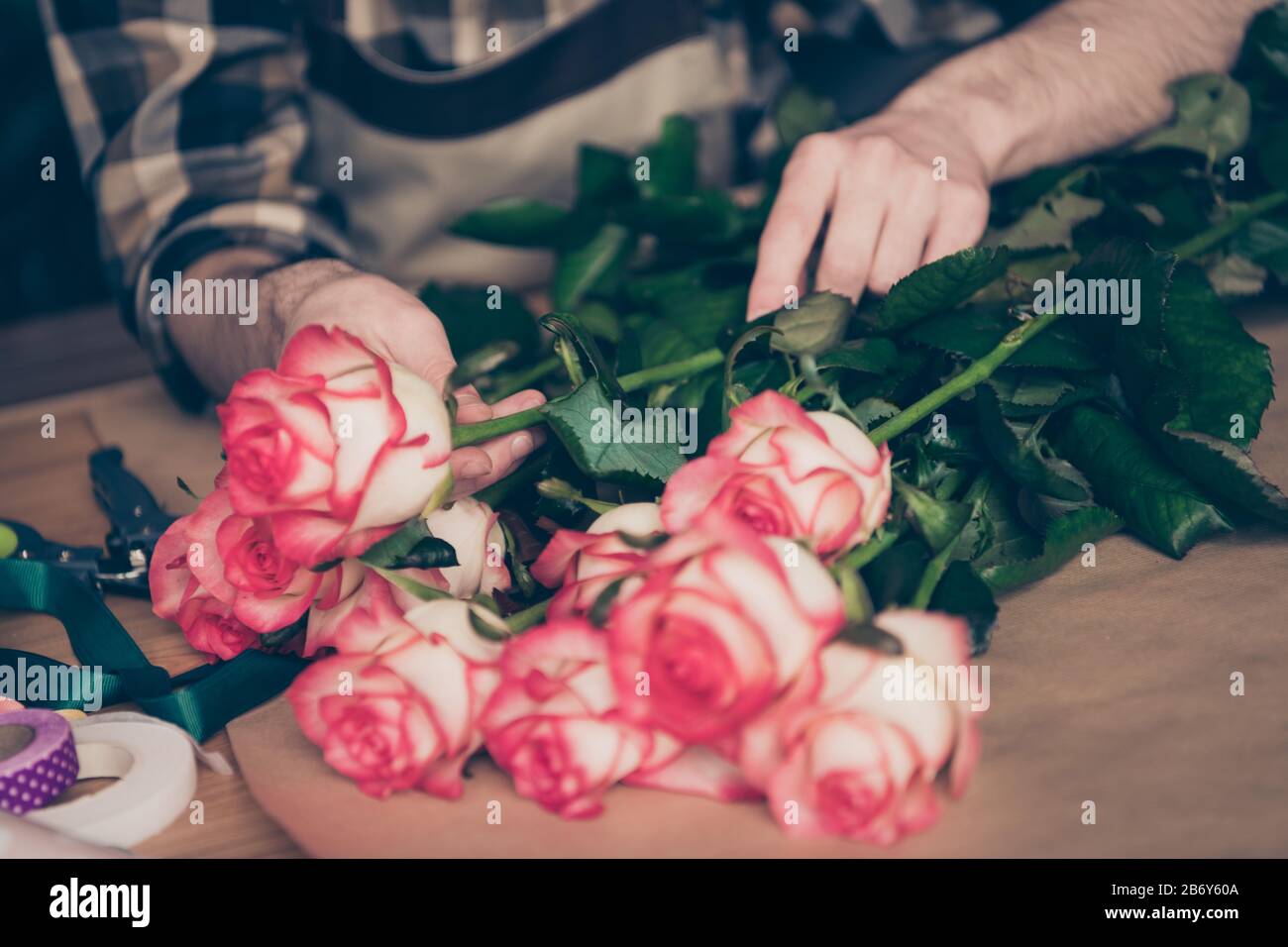 Cropped View Photo Of Handsome Assistant Freelancer Millennial Youth Touch Nature Environment Present Gift Holiday 8 March Wear Plaid Modern Clothes Stock Photo Alamy