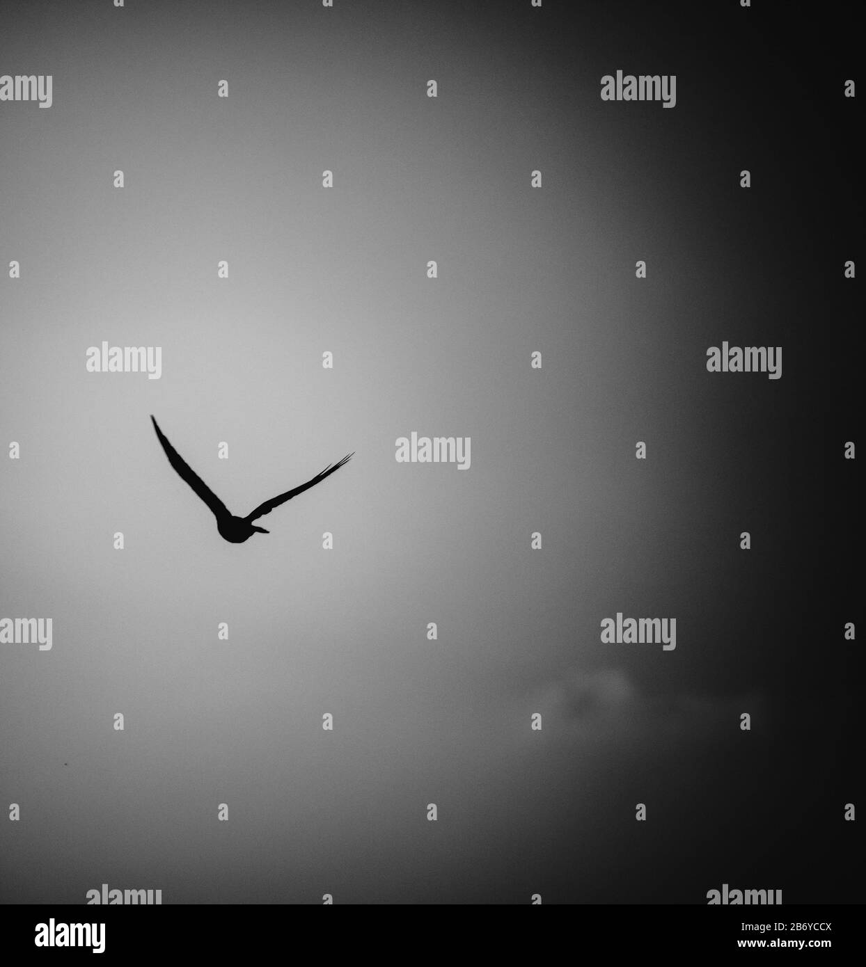 Clear sunrise Black and White Stock Photos & Images - Alamy