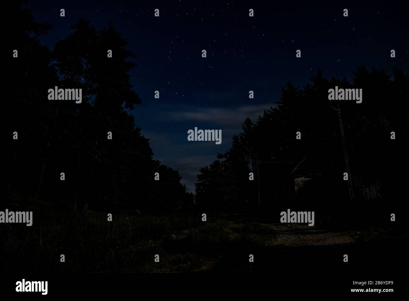 Starry sky over forest hi-res stock photography and images - Alamy