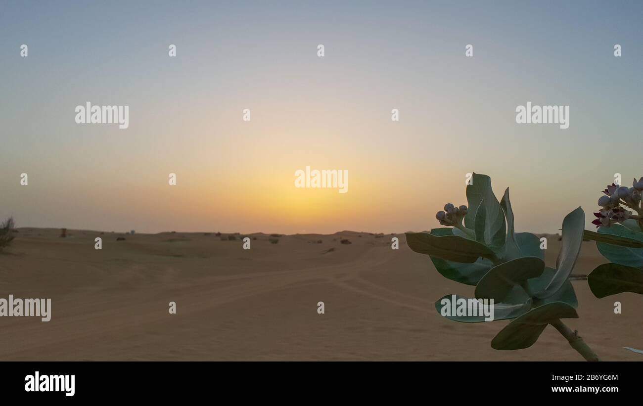 Desert sunset in hot Dubai Emirate Stock Photo