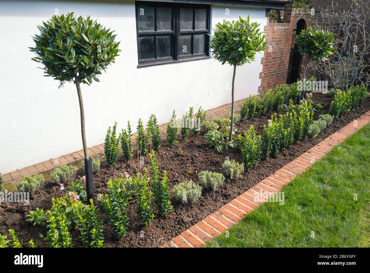 New Plants Including Bay Trees Planted In A Flower Bed Edged By Bricks In Front Of