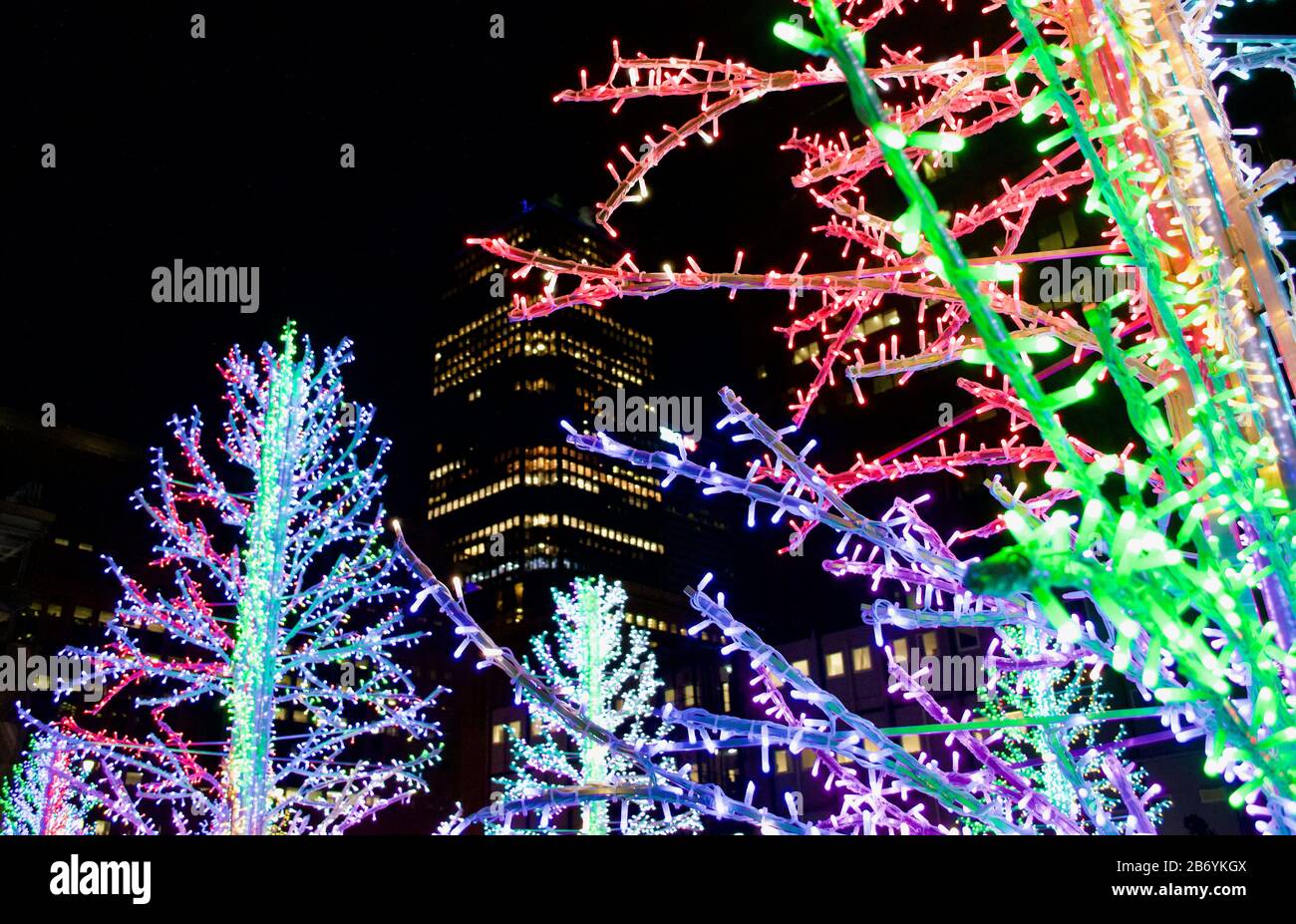 The Sasha trees exhibition at Winter Lights 2020 at Canary Wharf in London, UK Stock Photo