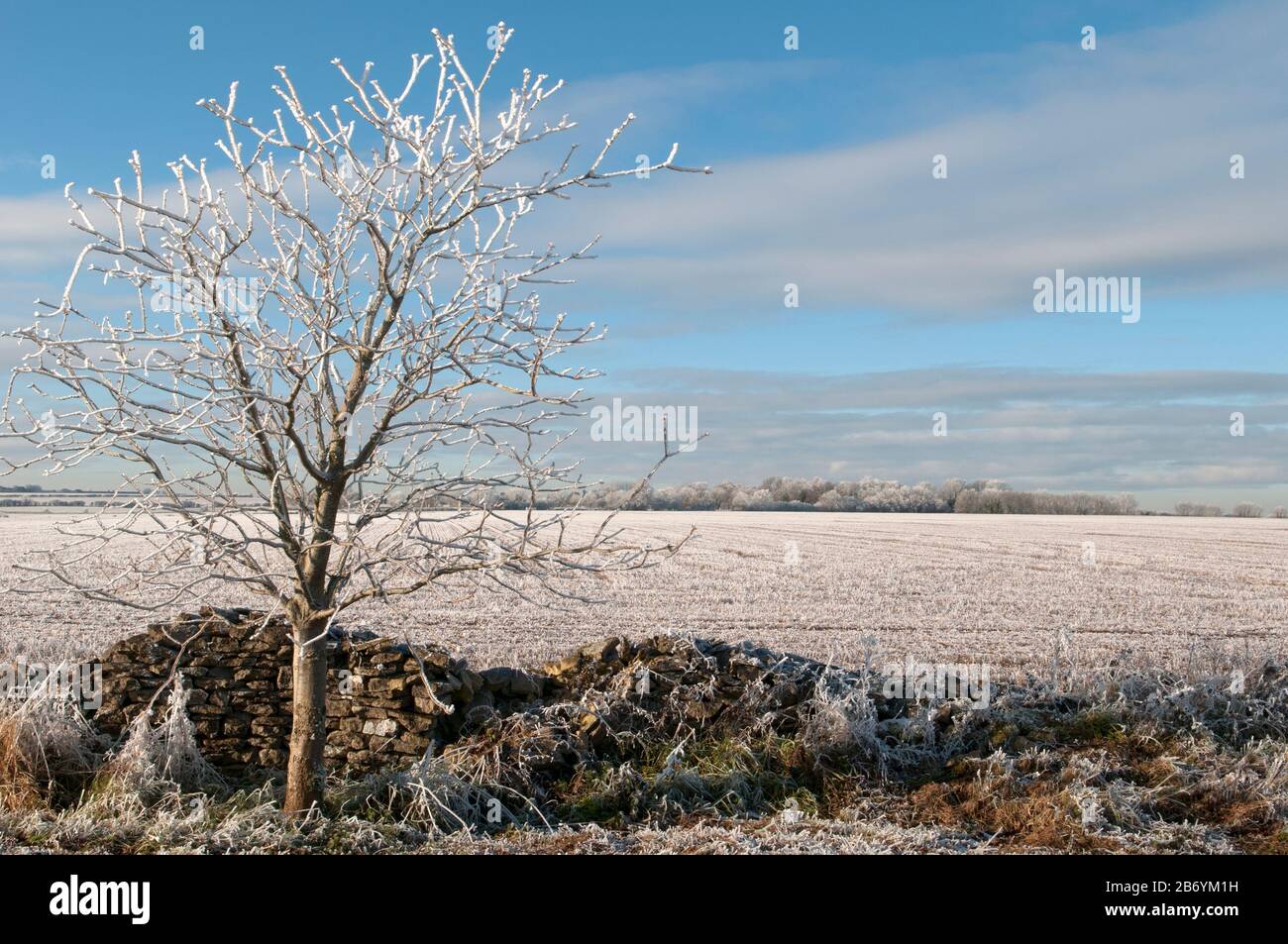 Hoar frost covering the landscape Stock Photo